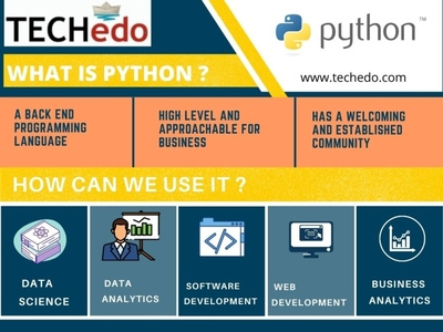 What is python by Shubham Gahlyan on Dribbble