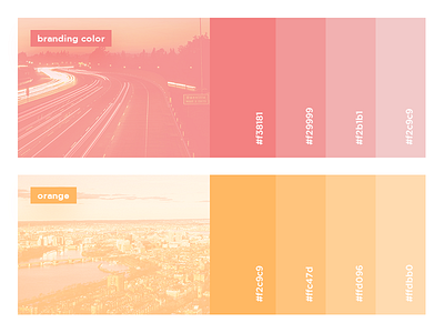 Branding Color Palette