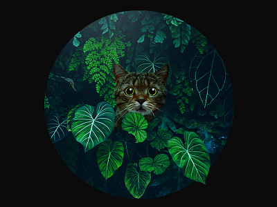 Cat in Forest