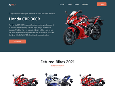 Bike blog  page-Website