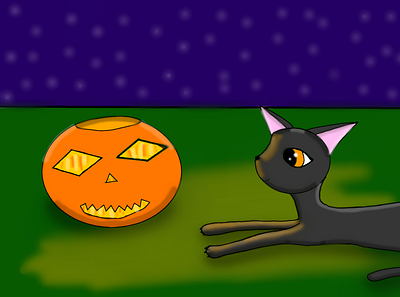 The Halloween cat cat halloween halloween cat