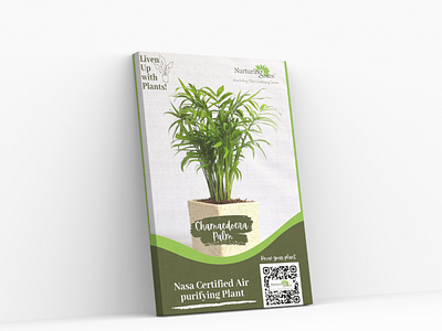 Plant Display design graphic design poster