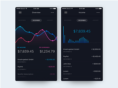 Banking App - Account Overview by Flo Steinle for Fintory on Dribbble