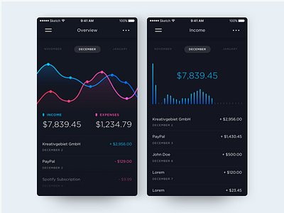 Banking App - Account Overview app banking dailyui dashboard expenses finance income overview stats ui
