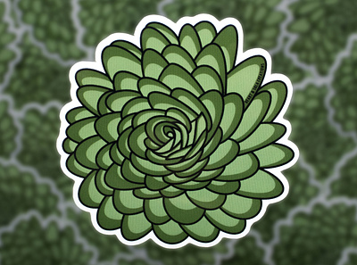 Green Succulent Sticker flower flowers illustration sticker succulent