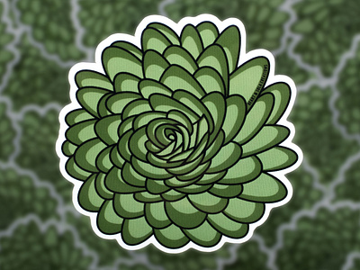 Green Succulent Sticker