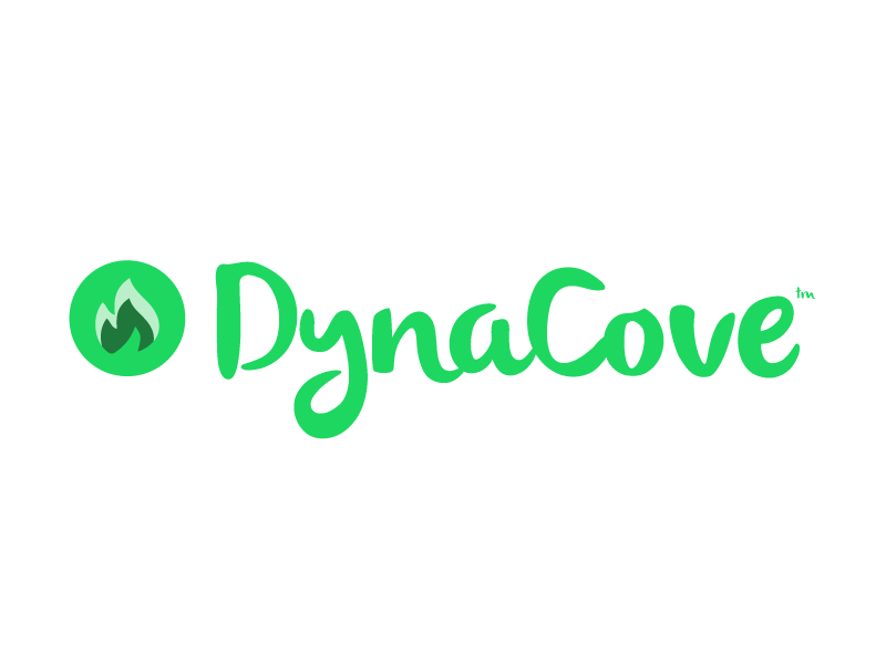DynaCove Logo agency company brand flame typography logo