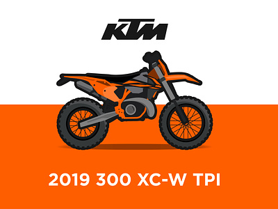 2019 KTM 300 XC-W TPI