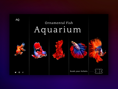 Landing page animal aqua aquarium branding colorful design fish graphic design landing landing page sea ui webdesign website
