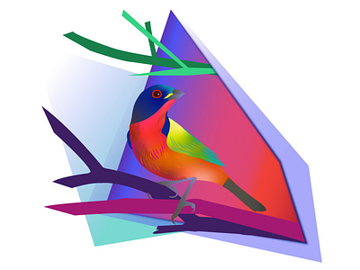 Color Dimension Portal x Bird adobe adobe illustration bird colorful design graphic design illustration illustrator rainbow wild life