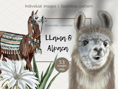 Watercolor Llama and Alpaca, Clipart & Seamless Pattern bubble gum