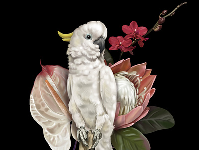 Cockatoo parrot botanical clipart design graphic design illustration realistic