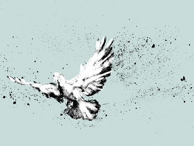 Holy Spirit Series bird charcoal dove illustration