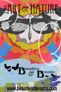 Beauties & Beasts Promotional Poster butterflies nature poster