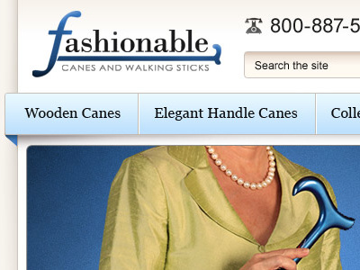 Fashionablecanes design ecommerce