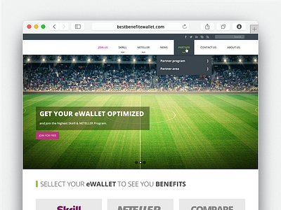 Best Benefit Wallet Web ui web web design