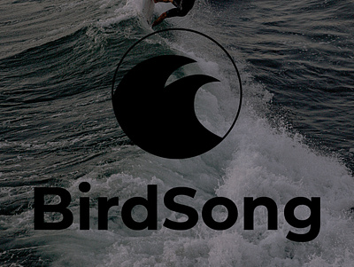 Logo Design BirdSonng 3d animation app branding design graphic design illustration logo motion graphics typography ui ux vector