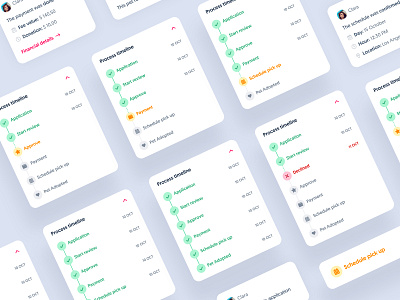 Adopets Dashboard - Process Timeline