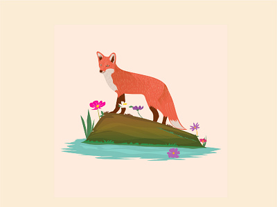 FOX