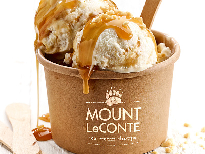 Ice Cream branding logo rustic