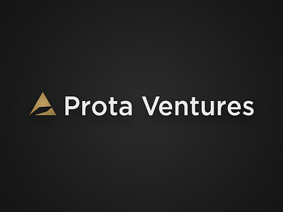 Prota Ventures branding gold icon identity logo wordmark