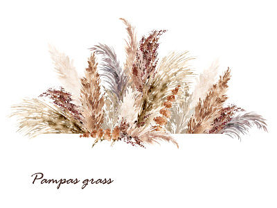 Pampas grass border background beige bohemian boho style boho wedding border botanical bouquet dried grass floral hand painted illustration natural neutral colors pampas grass reed watercolor wild flowers
