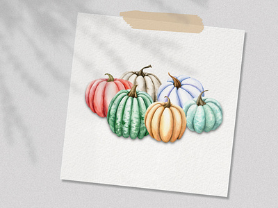 Pumpkins autumn design illustration pumpkins watercolor