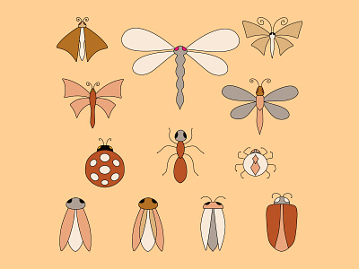 Doodle insect collection Hand drawn Sketch animal vector