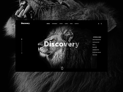 Discovery concept concept design discovery lion safari ui