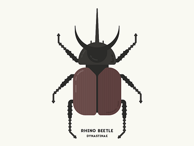 Rhino Bettle animal beetle bug diagram flat illustration infographic insect nature rhino simple vector