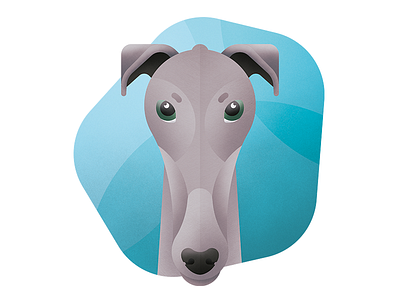 English Greyhound animal character dog geometric greyhound illustration infographic pet pooch portrait texture vector