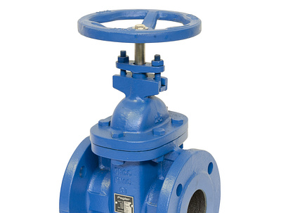 Gate Valves Manufacturer in India gate valves suppliers in india gatevalvesmanufacturer gatevalvesstockist gatevalvessupplier