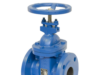 Gate Valves Manufacturer in India