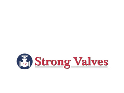 Leading Manufacturer of Valves in India