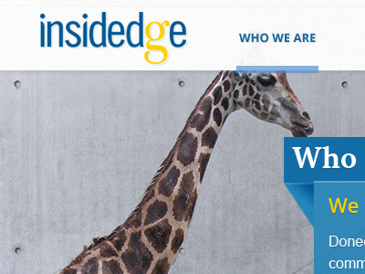Insidedge Landing Page Design Phase 01 giraffe landing page mockup web design