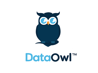 DataOwl  logo