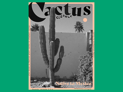 Cactus Gigante design poster poster design
