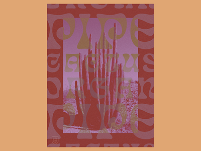 Organ Pipe Cactus