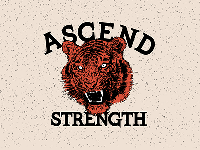 Ascend Strength