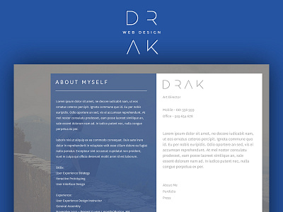 Drak Website Design black blue brand drak effect grey identity logo design ui website white