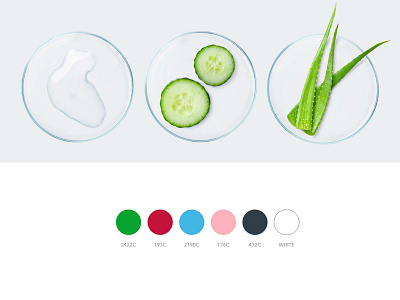 RAWGANIC colour palette and ingredients