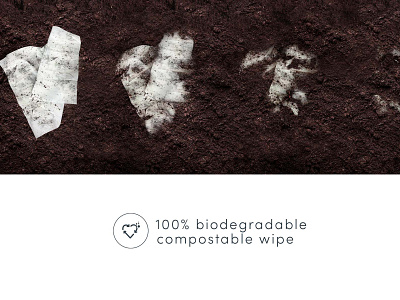 RAWGANIC Plant-based wipes biodegrade visual biodegrade graphic design process visual