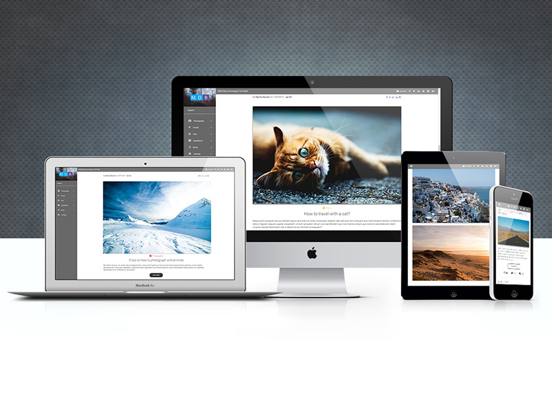 Responsive Material Design by MDBootstrap on Dribbble