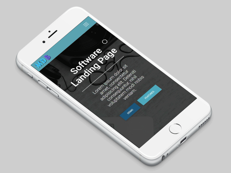 Software Landing Page