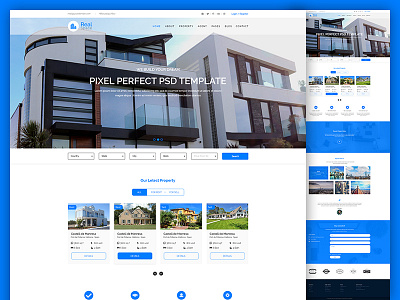 Real Estate Home Page Concept