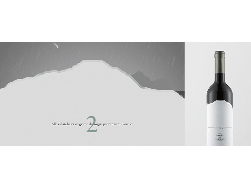 Colli Ripani Wine Collection Video animation branding collection motion graphics wine