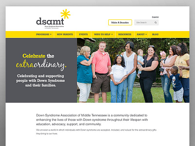 DSAMT Website 2017 nonprofit website