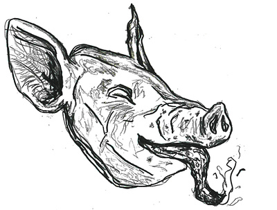 Pig head graphic design illustration