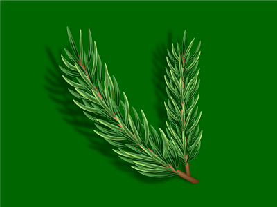 Spruce twig 3d adobe illustrator christmas tree design graphic design illustration spruce spruce branch ui vector winter