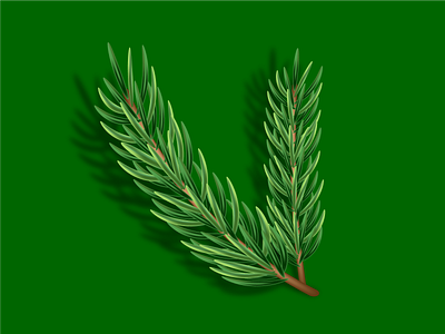 Spruce twig